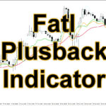 Fatl Plusback Indicator